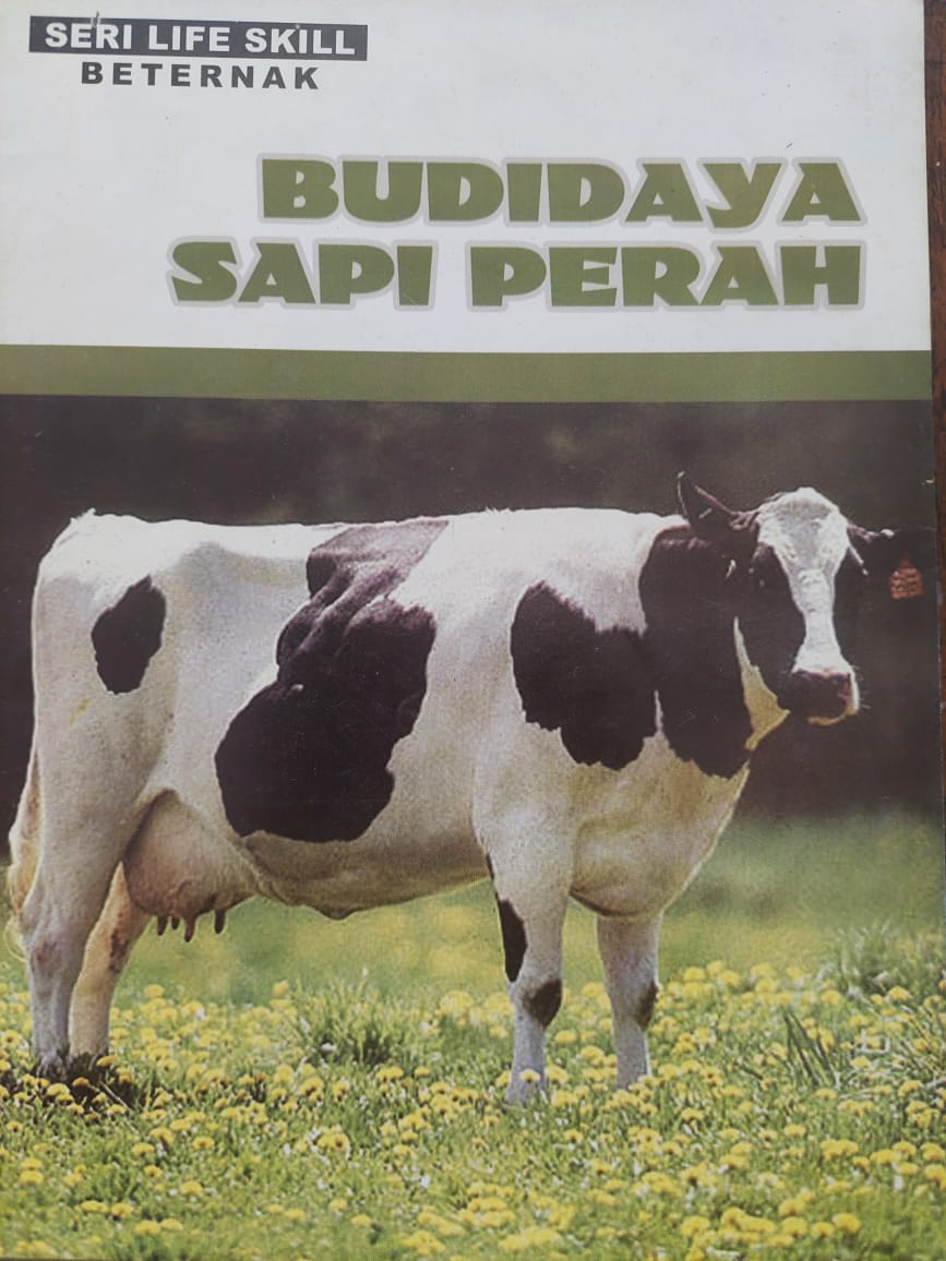 BUDAYA SAPI PERAH