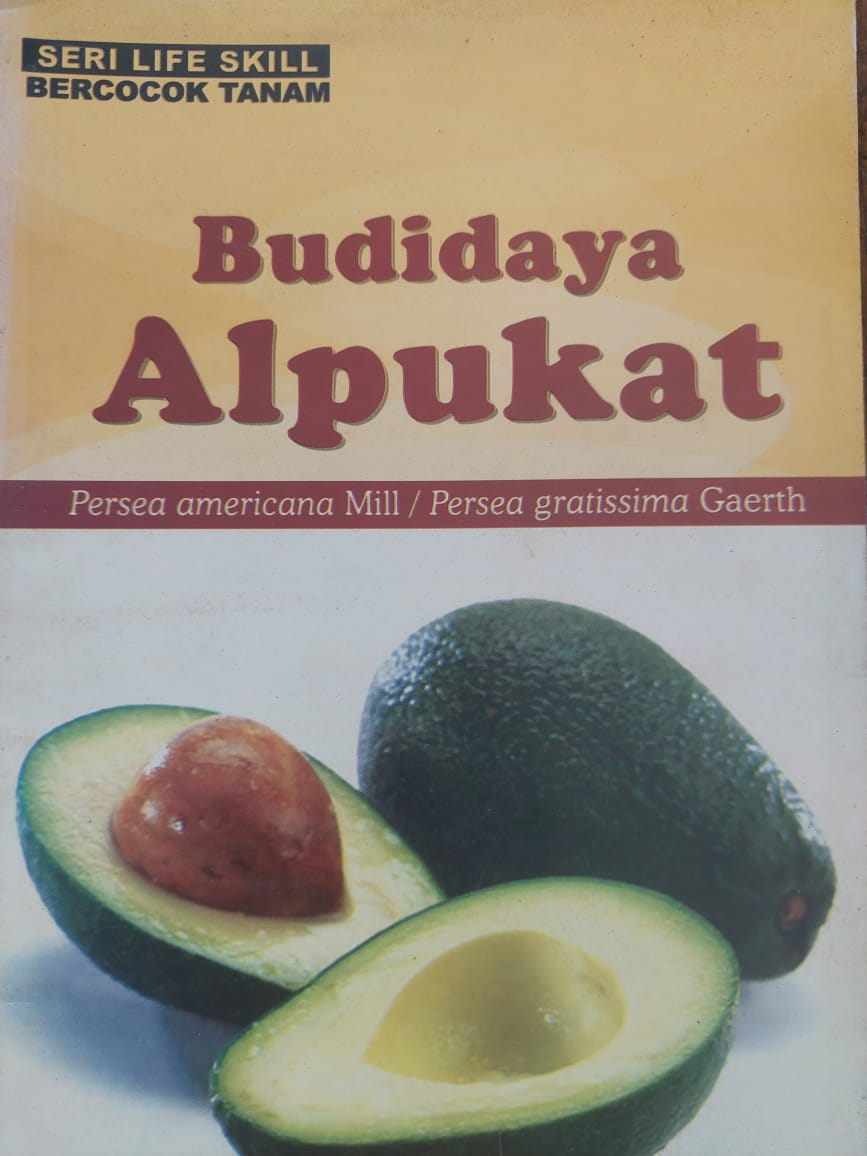 Budidaya Alpukat